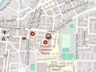 Carte de Varlin Alain à Lamentin (le)