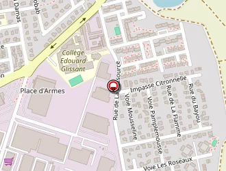 Carte de Icare à Lamentin (le)