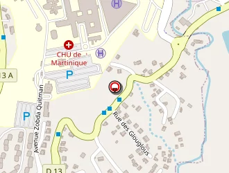 Carte de Filet Alice à Fort-de-france