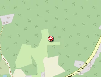 Carte de Pelage Camille à Saint-louis