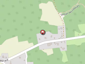 Carte de Bernay Saturnin à Saint-louis