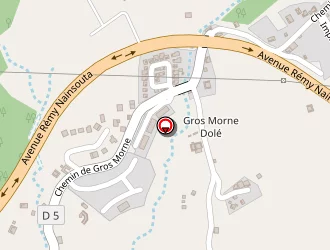 Carte de Station Elf à Gourbeyre