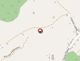 Carte de Naturel Bambou à Capesterre-belle-eau