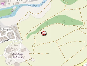 Carte de Midas à Basse-terre