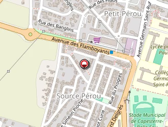 Carte de Sanib-ea Ambulance à Capesterre-belle-eau