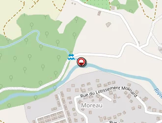 Carte de Perrin Florence à Goyave