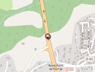 Carte de Samar Richard à Goyave