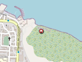 Carte de Trans Express Moueza à Goyave