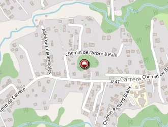 Carte de Amelia Tropic à Petit-bourg