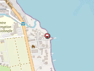 Carte de Cyanee Jacques à Petit-bourg