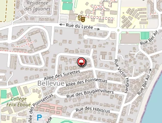 Carte de Cm Ingenierie à Petit-bourg