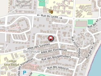 Carte de Boisseval Raymond à Petit-bourg