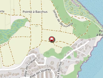 Carte de Malespine Mickaël à Petit-bourg