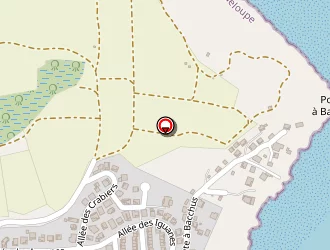 Carte de Triangle Transport à Petit-bourg