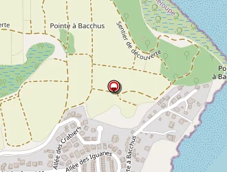 Carte de Dervain Claude à Petit-bourg