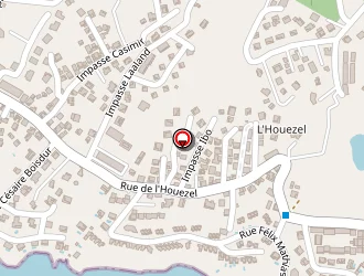 Carte de Gv Codep 971 à Gosier (le)