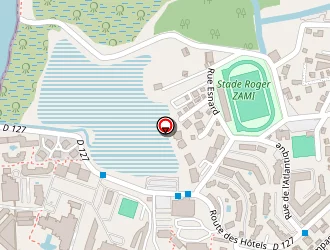 Carte de Jumbo Car à Gosier (le)