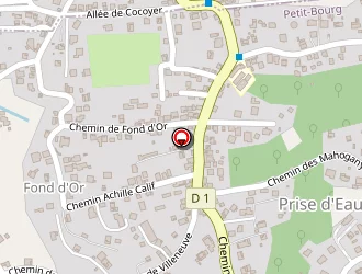 Carte de Peign D'or à Petit-bourg