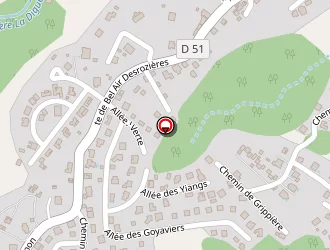 Carte de Griere Transport à Petit-bourg