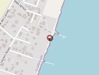 Carte de Scc Tranding à Petit-bourg