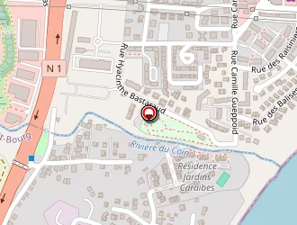 Carte de Romuald Georges à Petit-bourg