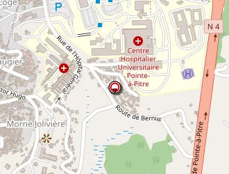 Carte de Institut Pasteur à Abymes (les)