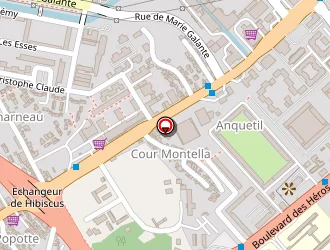 Carte de Deubras Mylène à Abymes (les)