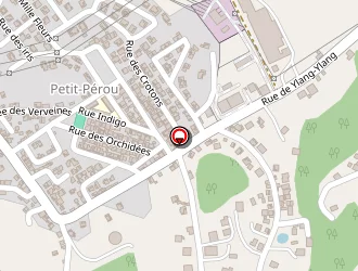 Carte de Fleur De Surelle à Abymes (les)