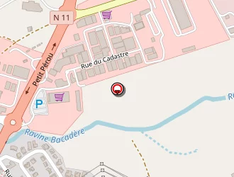 Carte de Catinel Patrick à Abymes (les)