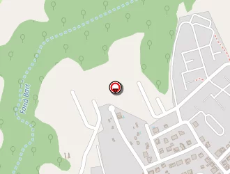 Carte de Eirl Raf à Lamentin