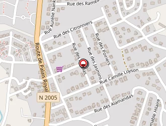 Carte de Josy Francois à Abymes (les)