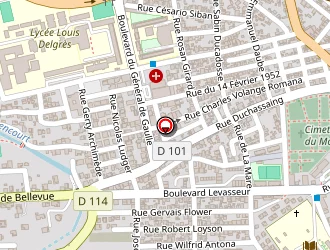 Carte de Boucherie Roro à Moule (le)