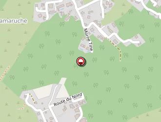 Carte de Trémeau Claude à Saint-barthélemy