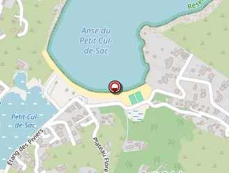 Carte de Da Silva Azevedo Andreia à Saint-barthélemy