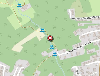 Carte de Mairie à Saint-martin