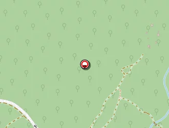 Carte de La Poste à Saül