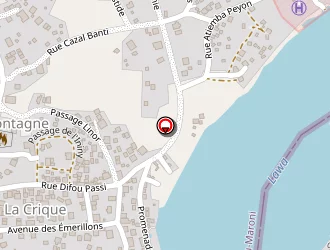 Carte de Armée De Terre Comsup Guyane à Maripasoula