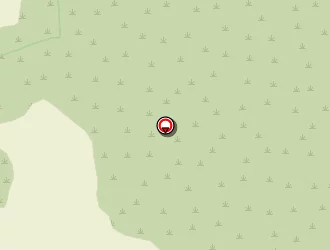 Carte de Basso Terrassement à Saint-drézéry