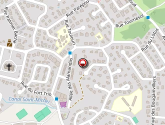 Carte de Ye Xiaomei à Matoury