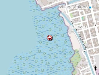 Carte de Transport Sinaï à Cayenne