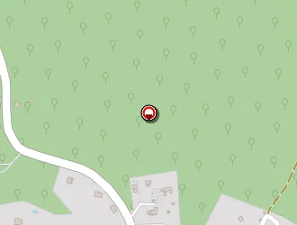 Carte de Bruyere Anthony à Figari