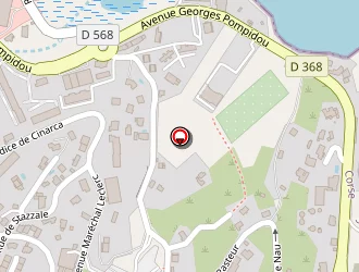 Carte de Flechet Bruno à Porto-vecchio