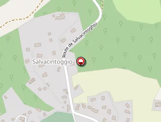 Carte de Bireaud Laurie à Porto-vecchio