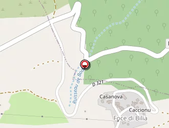 Carte de Terranova Concept à Sartène