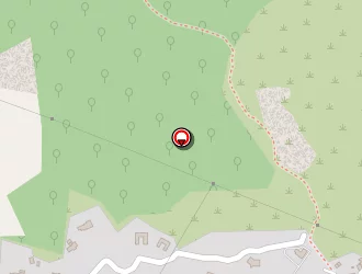 Carte de Mary Emile à Lecci