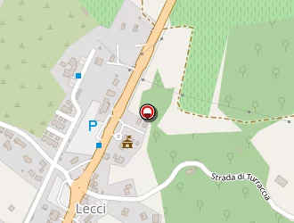 Carte de Coudiere Martine Anita à Lecci