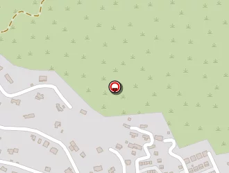 Carte de Domenichine Sandra à Olmeto