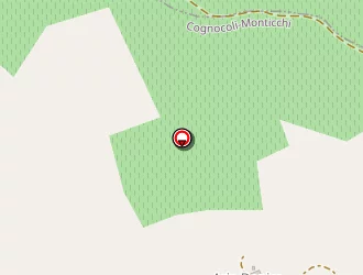 Carte de Domaine Vaccelli à Cognocoli-monticchi