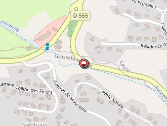 Carte de Antoni Michael à Grosseto-prugna