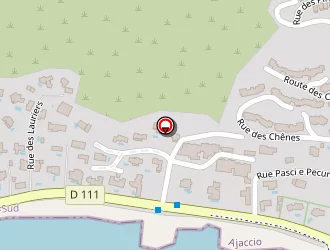 Carte de Aumenier Co Management à Ajaccio